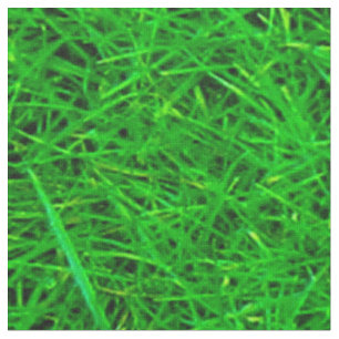 Tissu Texture d'herbe