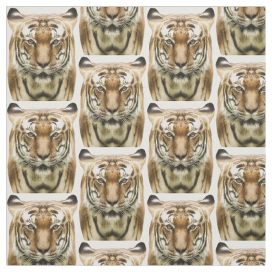 Tissu Tiger Gros plan (Échantillon)