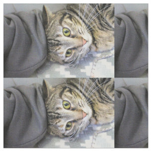 Tissu Tigre