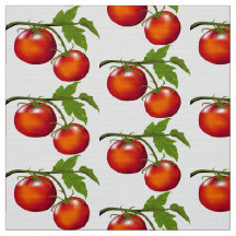 Tomates sur la vigne