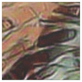 Tissu toony (Détail)