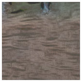 Tissu toony capibarah (Détail)