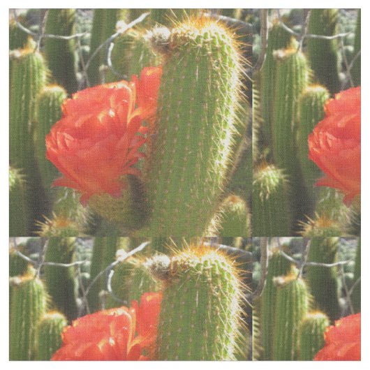 Tissu Torche rouge (Fermer)