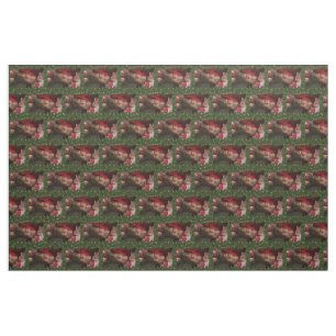 Tissu torse masculin six pack ventre nu de SlipperyJoe
