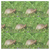 Tissu Tortue (Échantillon)