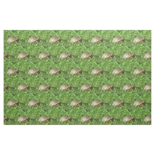 Tissu Tortue (Fat Quarter)