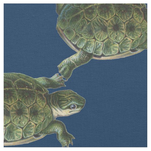 Tissu Tortue verte (Fermer)
