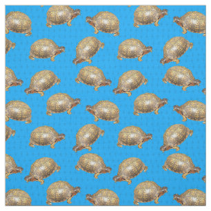 Tissu Tortues de boîte de l'Est à motifs bleus clairs