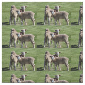 Tissu Touristes (Échantillon)