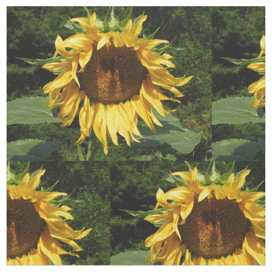 Tissu Tournesol (Fermer)