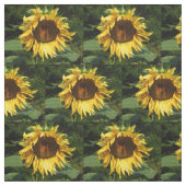 Tissu Tournesol (Échantillon)