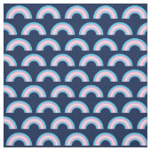 Tissu Transgenre Rainbow bleu rose blanc (Échantillon)