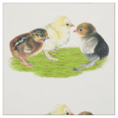 Tissu Trio de poussins (Échantillon)