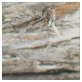 Tissu Tronc d'arbre (Détail)