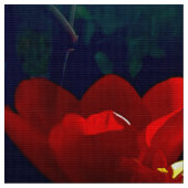 Tissu Tulipe rouge (Fermer)