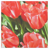 Tissu Tulipes rouges (Échantillon)