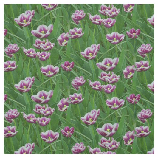 Tissu Tulipes violettes et blanches (Échantillon)