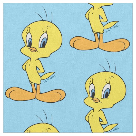 Tissu TWEETY™ | Clever Bird (Fermer)