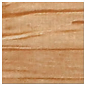 Tissu Un dragon oriental dans le bambou (Fermer)