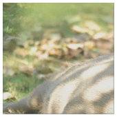 Tissu Un mignon rêve de Capybara dans le soleil d'été (Fermer)