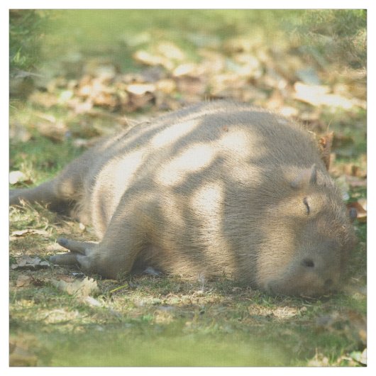 Tissu Un mignon rêve de Capybara dans le soleil d'été (Échantillon)