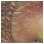 Tissu Une pomme par jour... (Fermer)