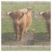 Tissu Vache de Highland (Fermer)