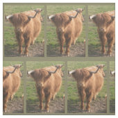 Tissu Vache de Highland (Échantillon)