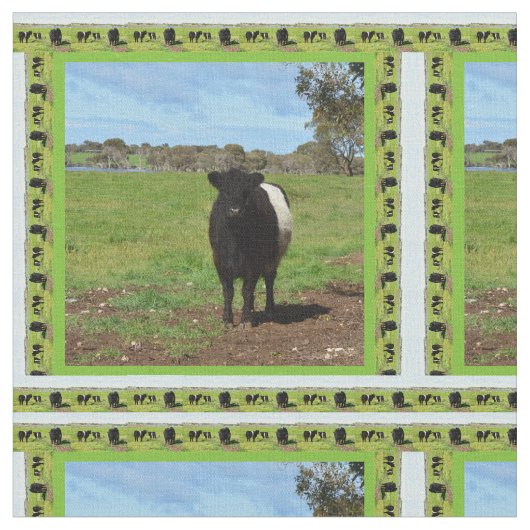 Tissu Vache Galloway Ceintée Femme encadrée, (Fermer)