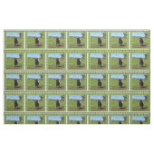 Tissu Vache Galloway Ceintée Femme encadrée, (Fat Quarter)