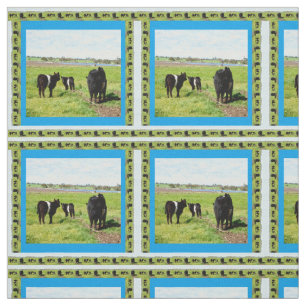 Tissu Vaches Galloway Ceinturées, Mère Et Bébé,