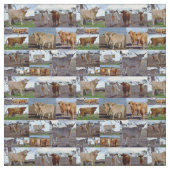 Tissu Vaches Highland Dans Un Collage Photo, (Échantillon)
