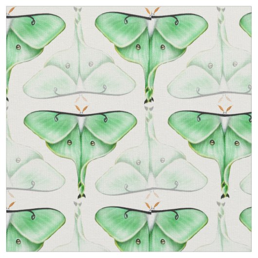 Tissu vert de mite de Bella Luna (Fermer)