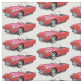 tissu vintage de voiture de Berkeley T60 (Échantillon)