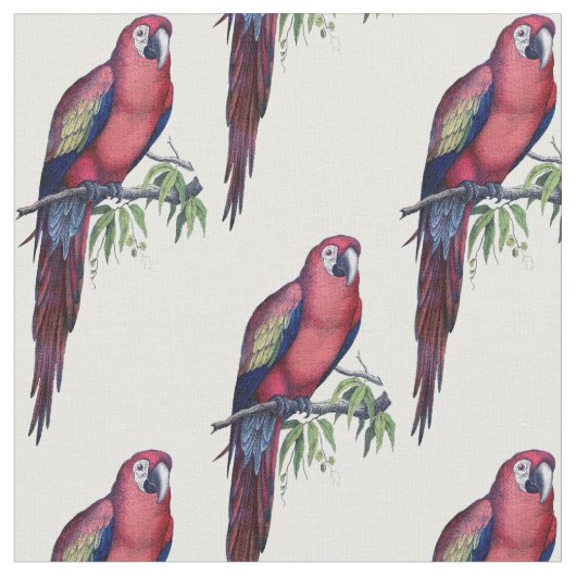 Tissu Vintage Macaw Bird (Fermer)