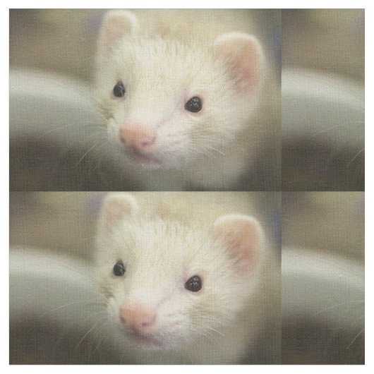 Tissu Visage de furet (Fermer)