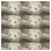 Tissu Visage de furet (Échantillon)
