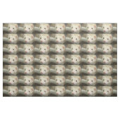 Tissu Visage de furet (Fat Quarter)