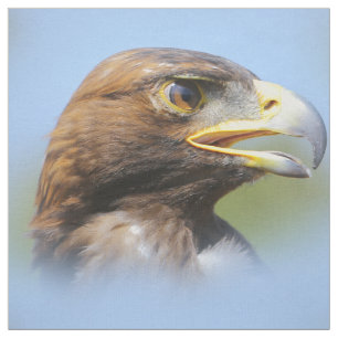 Tissu Vision d'un bel aigle d'or jeune