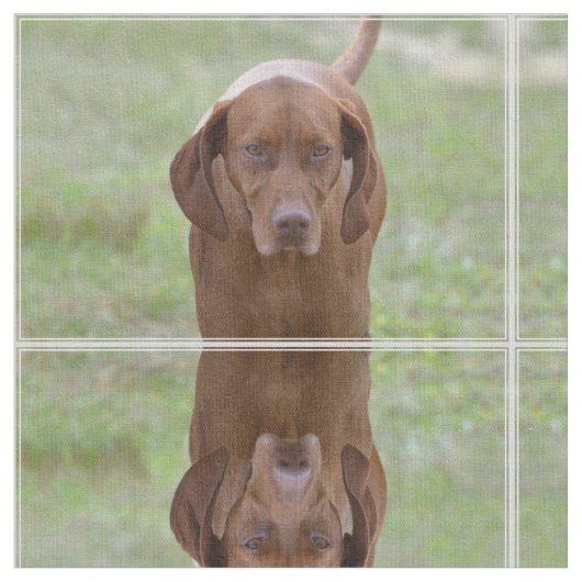 Tissu Vizsla aimable (Fermer)