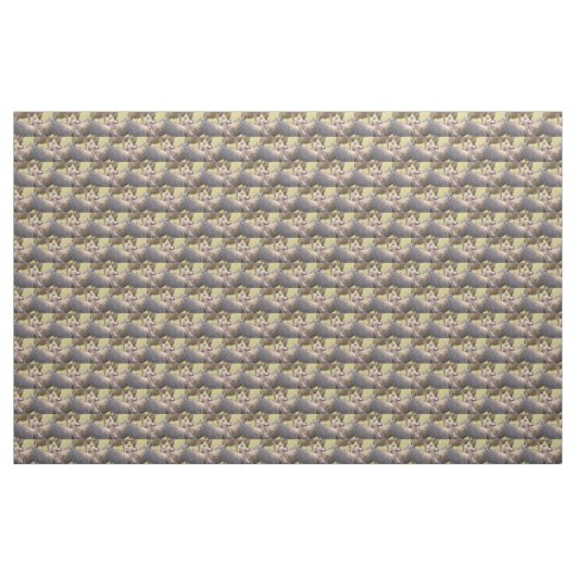 Tissu Vulture (Yard)