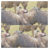 Tissu Vulture (Fermer)