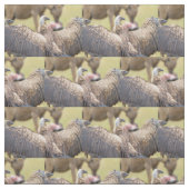 Tissu Vulture (Échantillon)