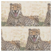 Tissu Yawning Cheetah (Fermer)