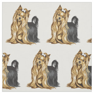 Tissu yorkshire terrier