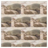 Tissu Young sea lion (Échantillon)