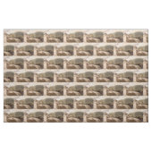 Tissu Young sea lion (Fat Quarter)