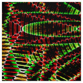 Tissu Yule fleurs..... (Échantillon)