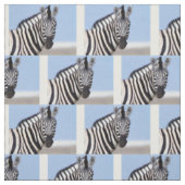 Tissu Zebra looking at you (Échantillon)