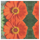 Tissu Zinnia orange (Fermer)
